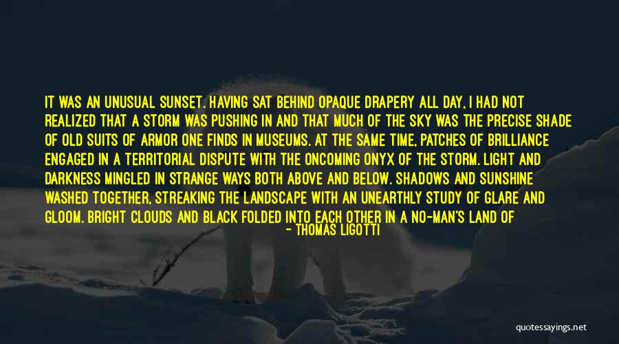 The Sky And Sunset Quotes By Thomas Ligotti
