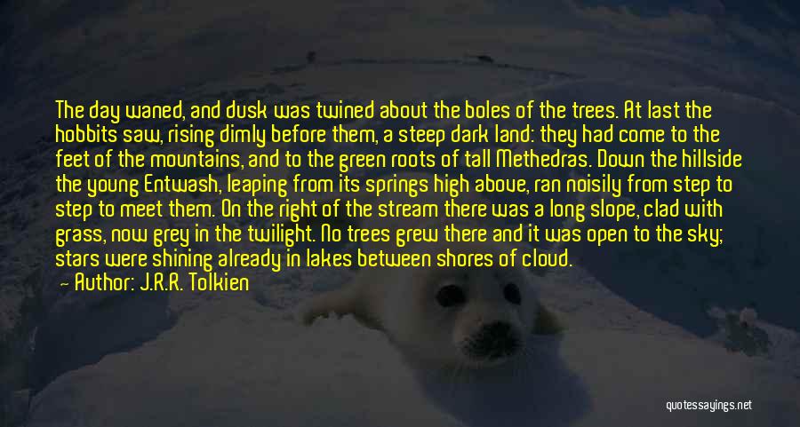 The Sky And Trees Quotes By J.R.R. Tolkien