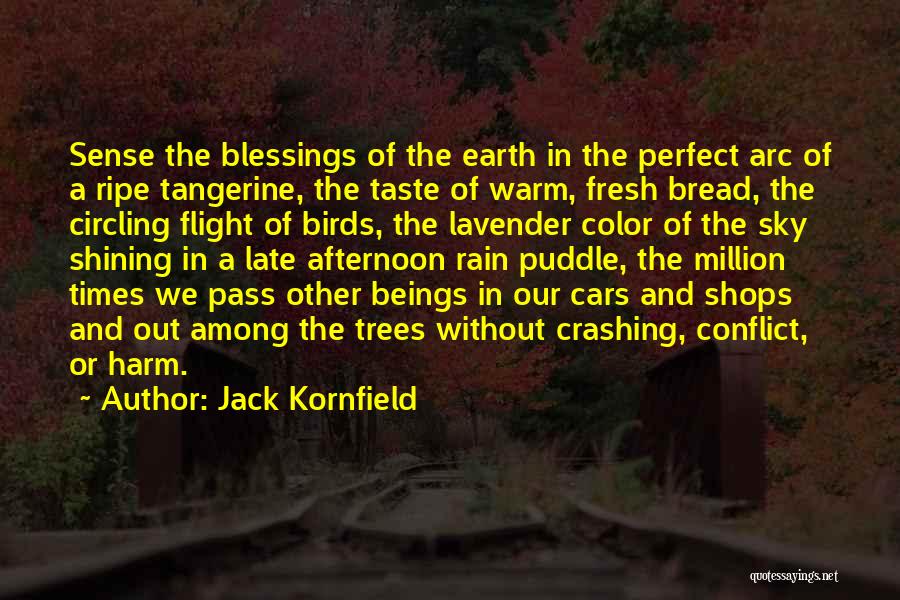 The Sky And Trees Quotes By Jack Kornfield