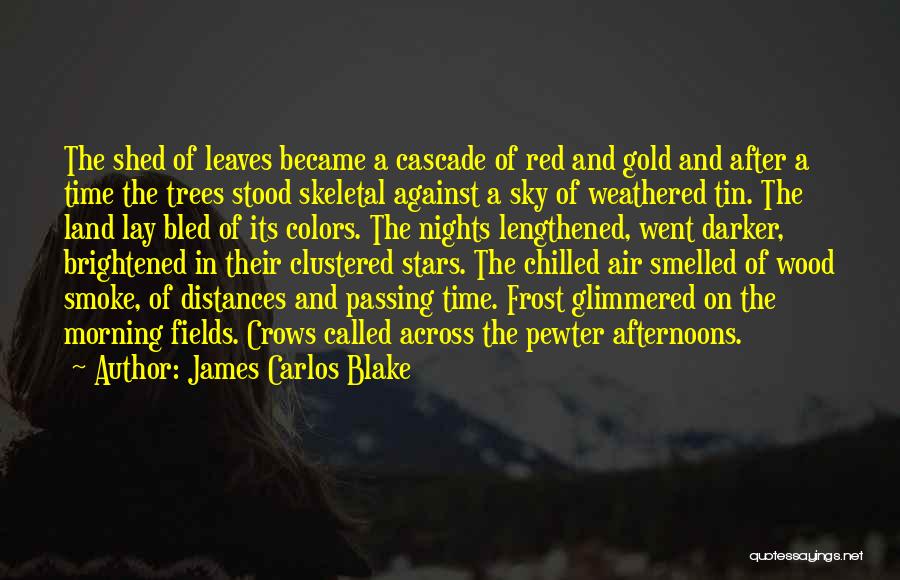 The Sky And Trees Quotes By James Carlos Blake