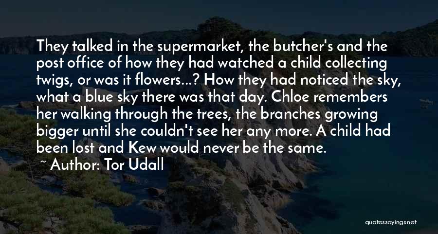 The Sky And Trees Quotes By Tor Udall
