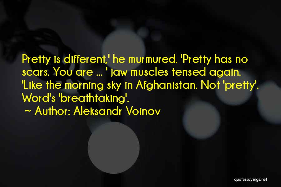 The Sky In The Morning Quotes By Aleksandr Voinov