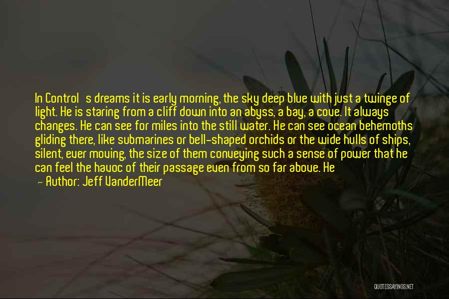The Sky In The Morning Quotes By Jeff VanderMeer