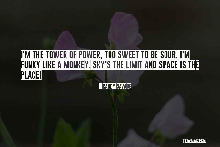 The Sky Is The Limit Quotes By Randy Savage The Sky Is The Limit Quotes By Randy Savage