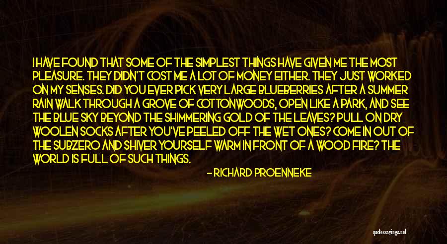 The Sky On Fire Quotes By Richard Proenneke