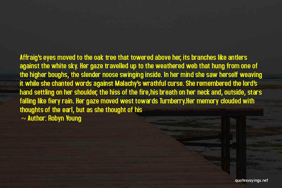 The Sky On Fire Quotes By Robyn Young