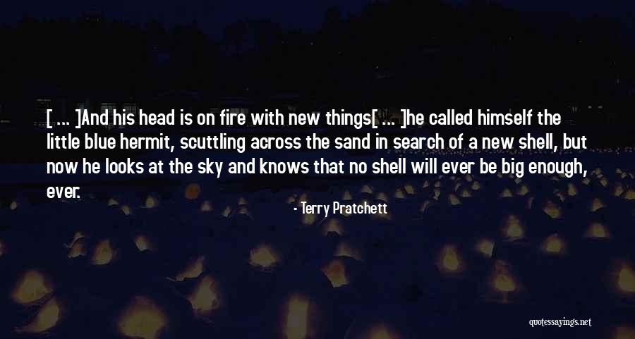 The Sky On Fire Quotes By Terry Pratchett