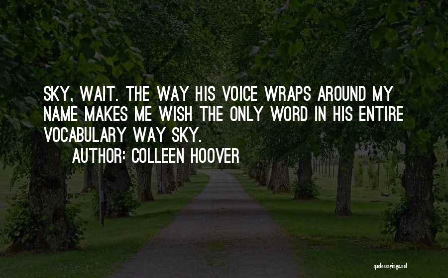 The Sky Quotes By Colleen Hoover