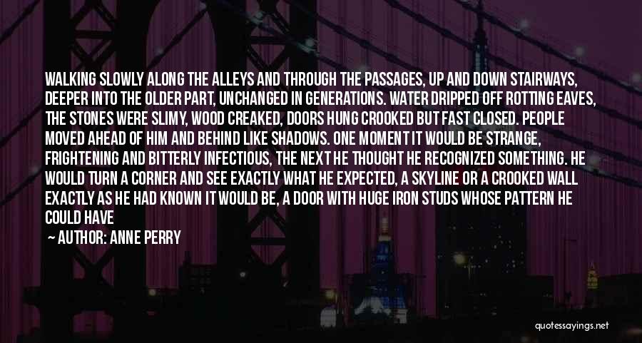 The Skyline Quotes By Anne Perry