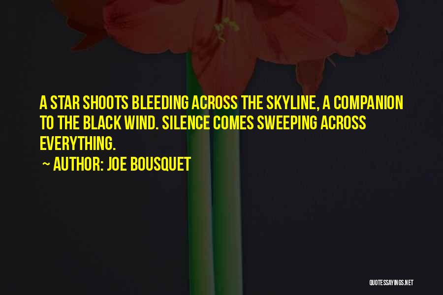 The Skyline Quotes By Joe Bousquet