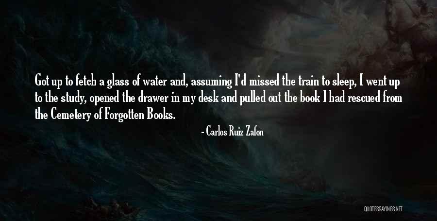 The Sleep Book Quotes By Carlos Ruiz Zafon