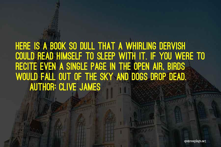 The Sleep Book Quotes By Clive James