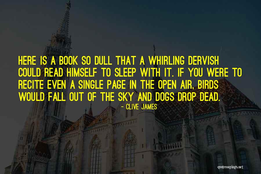 The Sleep Book Quotes By Clive James