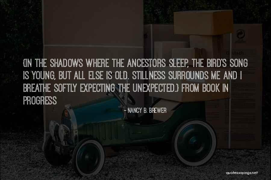 The Sleep Book Quotes By Nancy B. Brewer