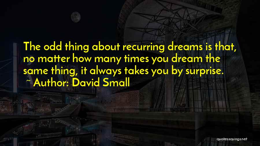 The Small Thing Quotes By David Small