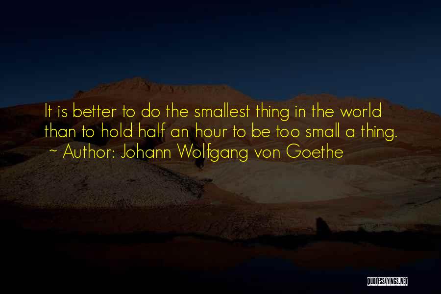 The Small Thing Quotes By Johann Wolfgang Von Goethe