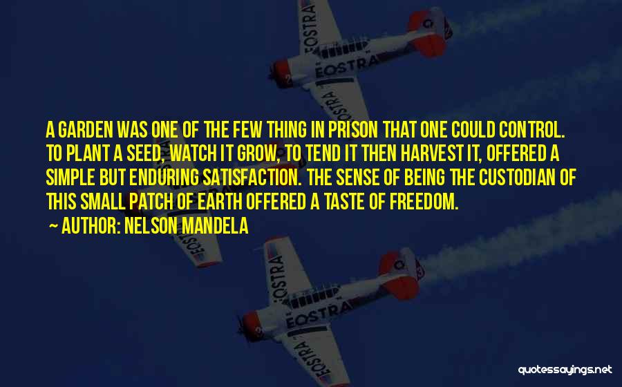 The Small Thing Quotes By Nelson Mandela