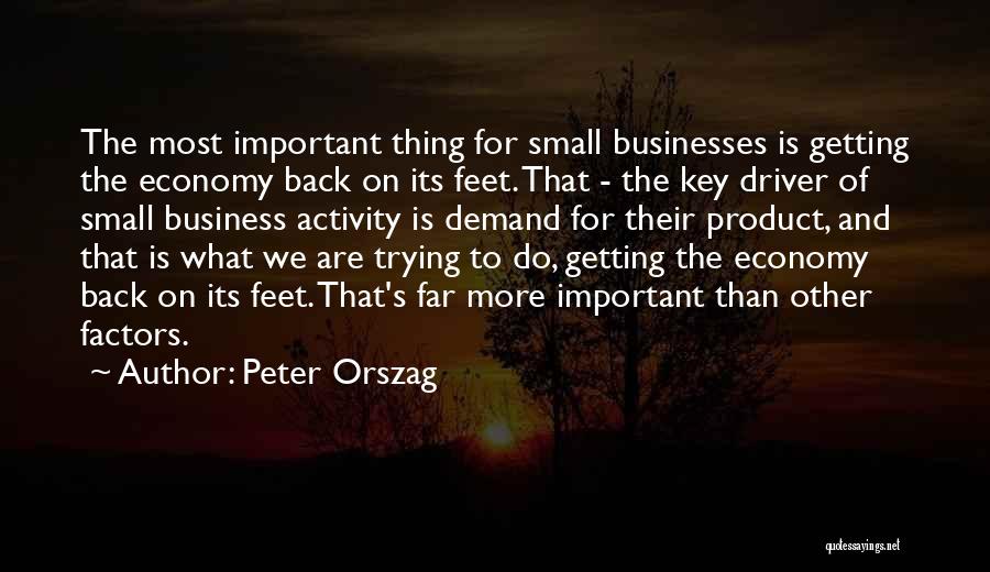 The Small Thing Quotes By Peter Orszag