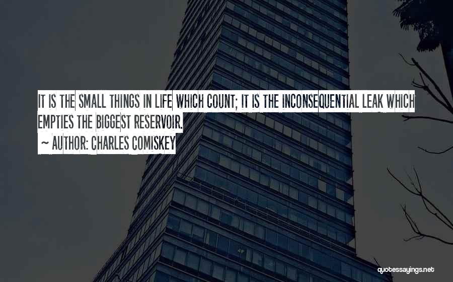 The Small Things In Life Quotes By Charles Comiskey