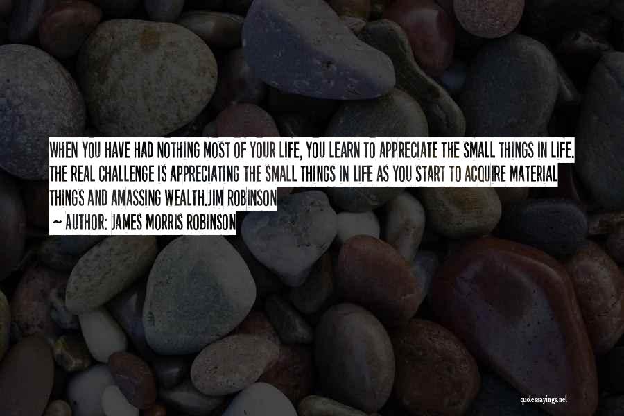 The Small Things In Life Quotes By James Morris Robinson