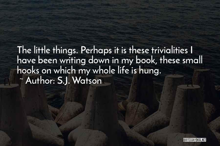 The Small Things In Life Quotes By S.J. Watson