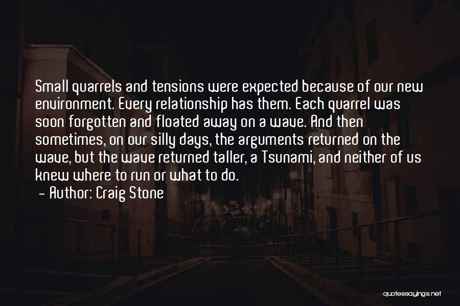 The Small Things In Relationships Quotes By Craig Stone