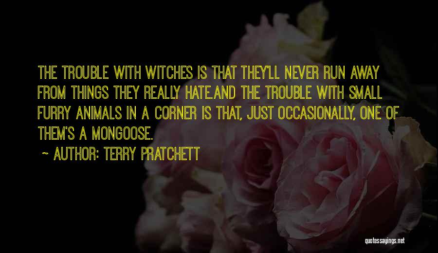 The Small Things Quotes By Terry Pratchett