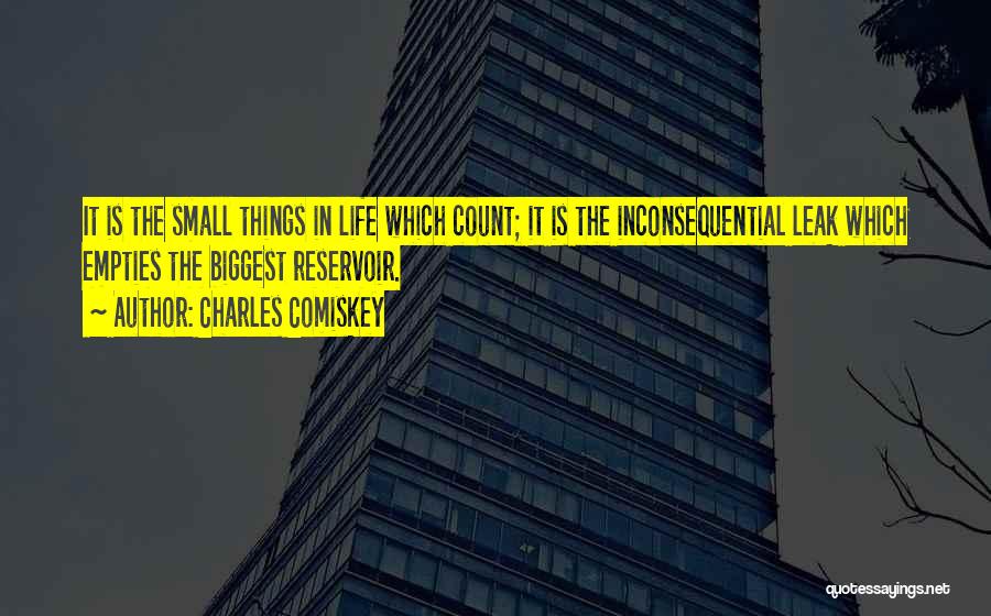 The Small Things That Count Quotes By Charles Comiskey