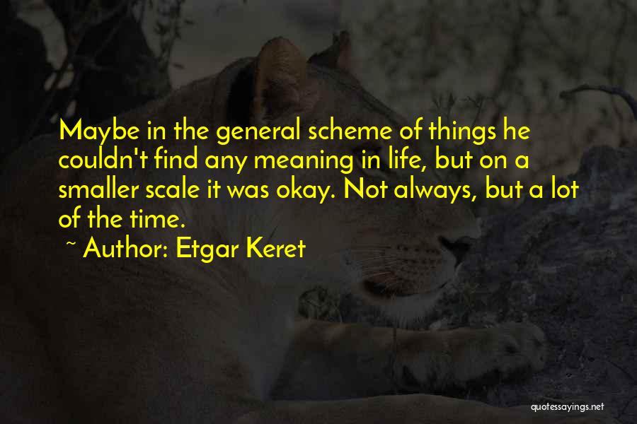 The Smaller Things In Life Quotes By Etgar Keret