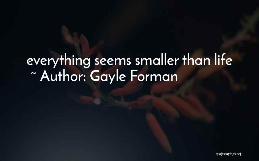 The Smaller Things In Life Quotes By Gayle Forman