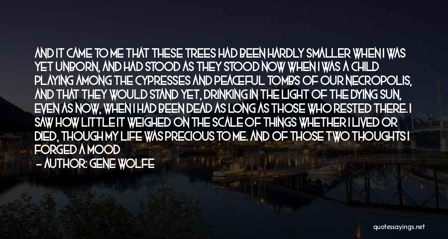 The Smaller Things In Life Quotes By Gene Wolfe