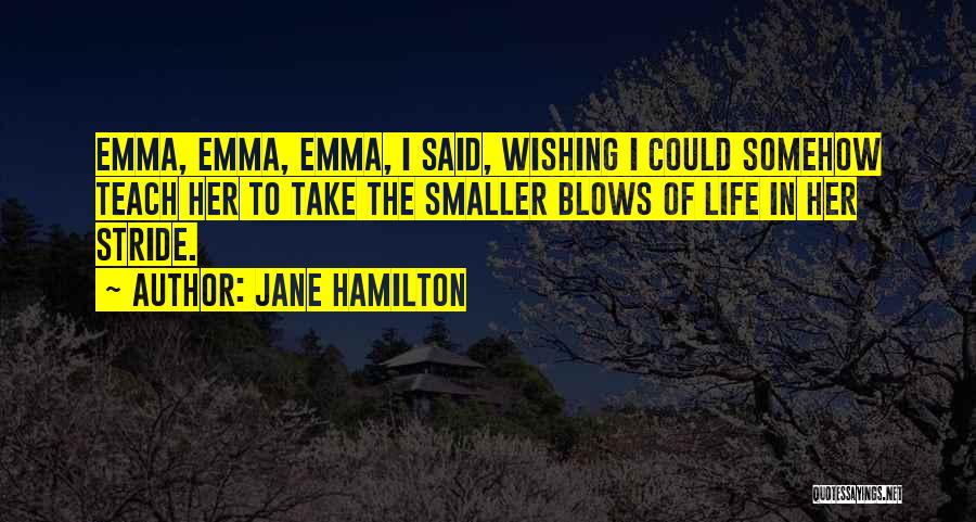 The Smaller Things In Life Quotes By Jane Hamilton