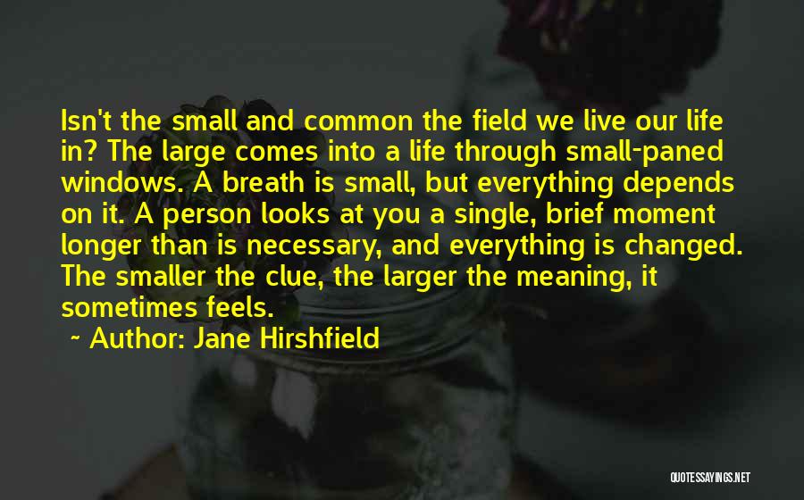 The Smaller Things In Life Quotes By Jane Hirshfield