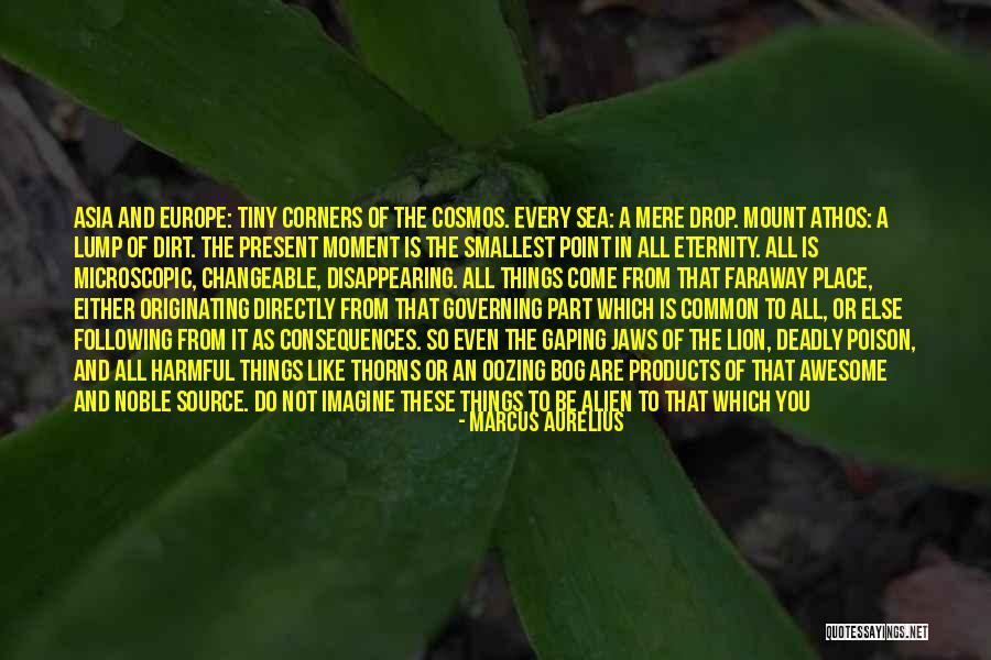 The Smallest Part Quotes By Marcus Aurelius The Smallest Part Quotes By Marcus Aurelius