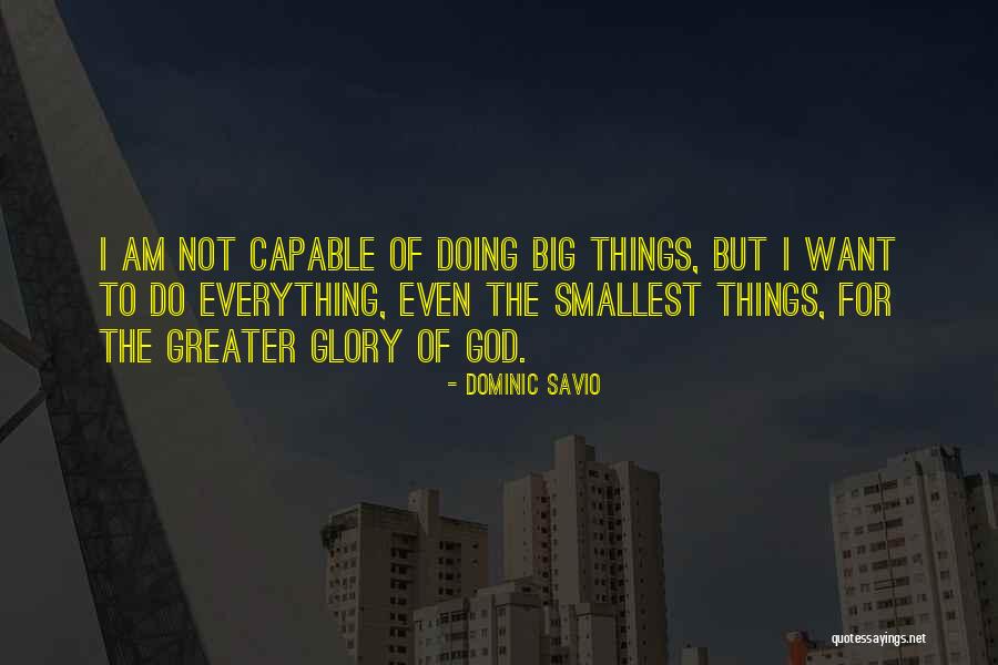 The Smallest Things Quotes By Dominic Savio The Smallest Things Quotes By Dominic Savio