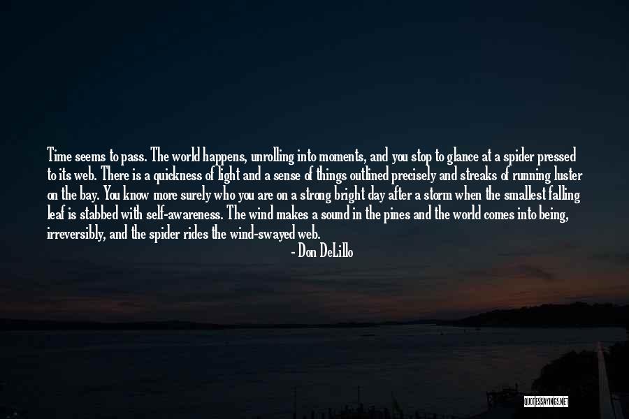 The Smallest Things Quotes By Don DeLillo The Smallest Things Quotes By Don DeLillo