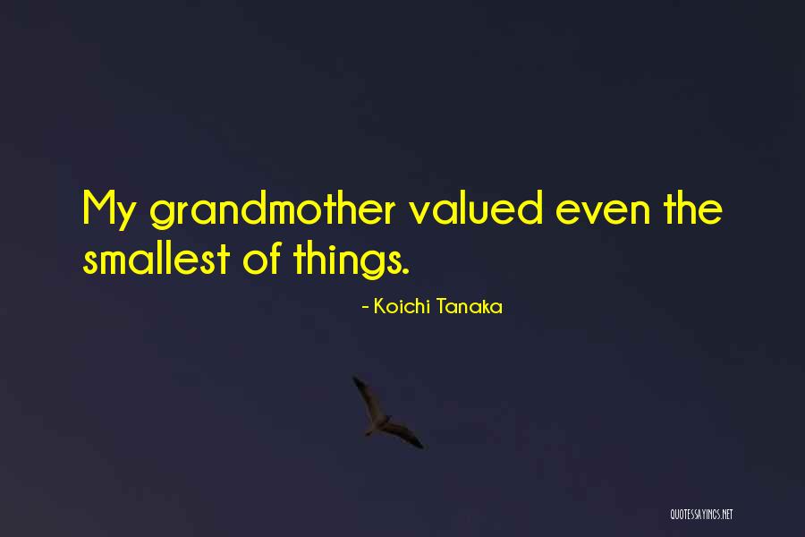 The Smallest Things Quotes By Koichi Tanaka The Smallest Things Quotes By Koichi Tanaka