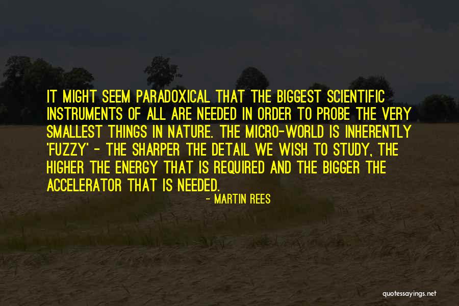 The Smallest Things Quotes By Martin Rees The Smallest Things Quotes By Martin Rees