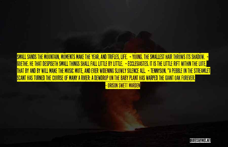 The Smallest Things Quotes By Orison Swett Marden The Smallest Things Quotes By Orison Swett Marden
