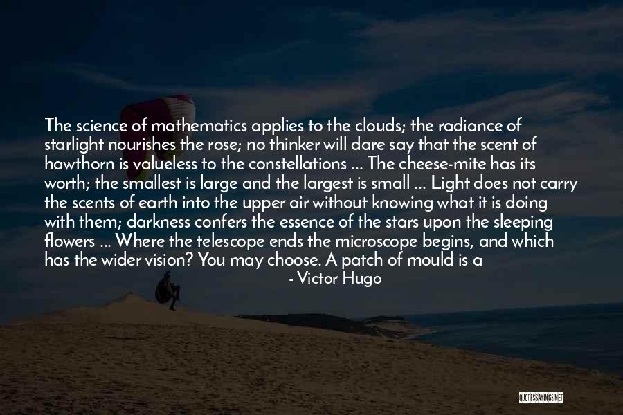The Smallest Things Quotes By Victor Hugo The Smallest Things Quotes By Victor Hugo