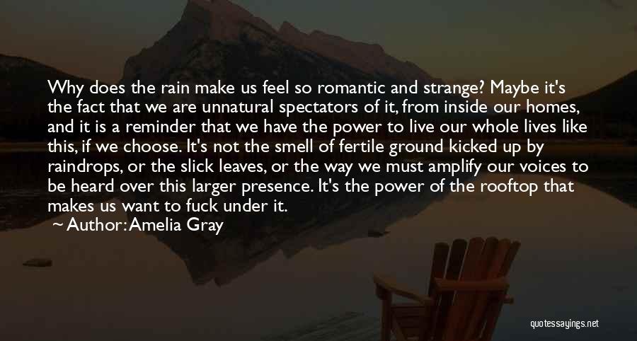 The Smell Of Rain Quotes By Amelia Gray