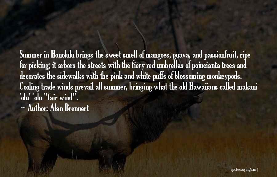 The Smell Of Summer Quotes By Alan Brennert