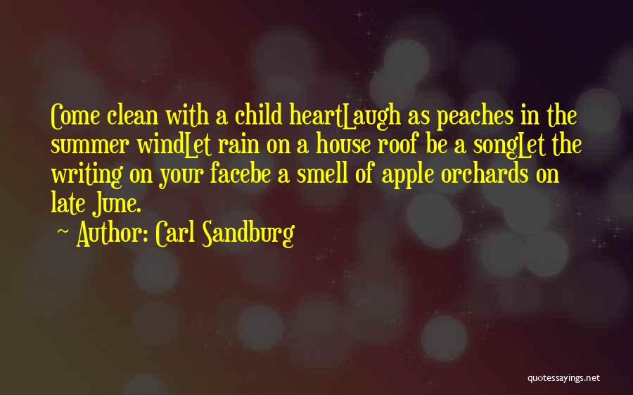 The Smell Of The Rain Quotes By Carl Sandburg
