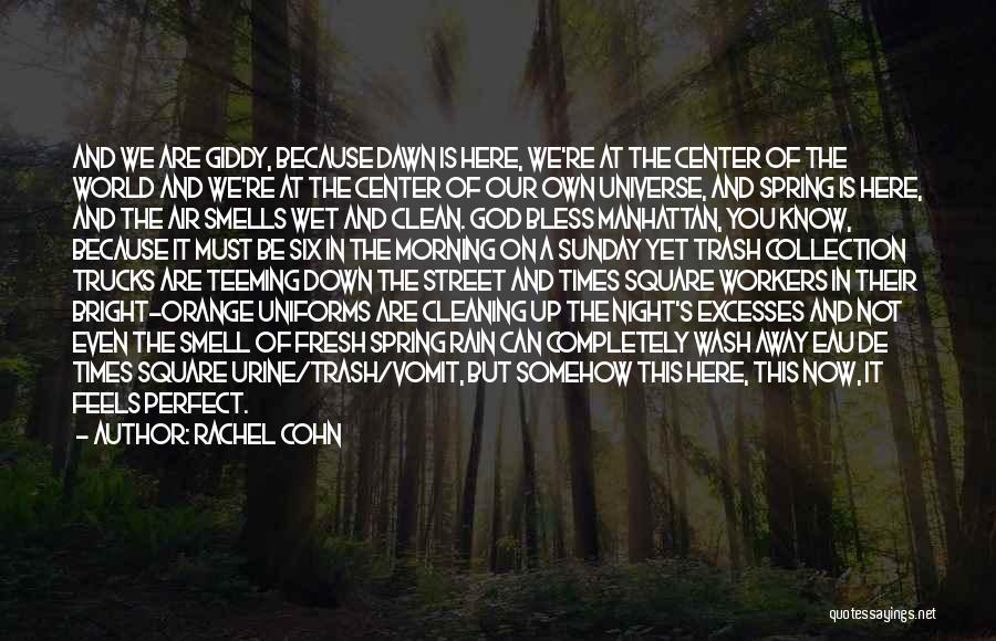 The Smell Of The Rain Quotes By Rachel Cohn