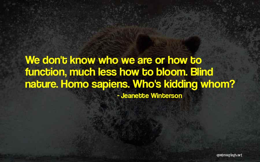 The Snowman In To Kill A Mockingbird Quotes By Jeanette Winterson The Snowman In To Kill A Mockingbird Quotes By Jeanette Winterson