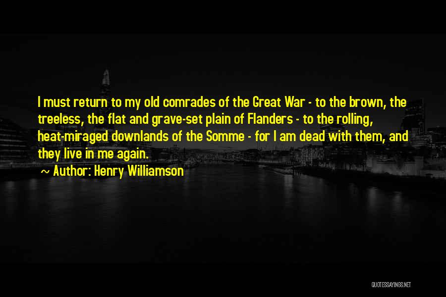 The Somme Quotes By Henry Williamson