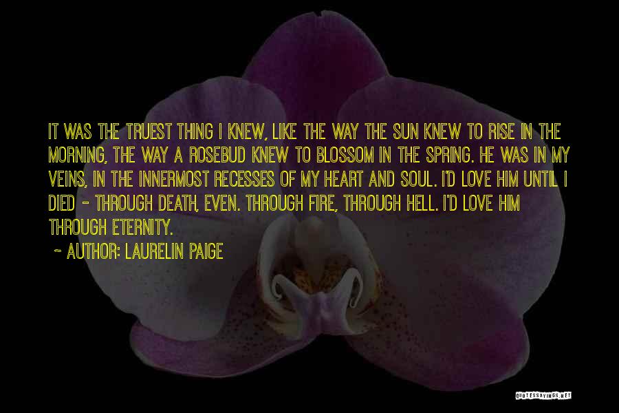 The Soul And Death Quotes By Laurelin Paige
