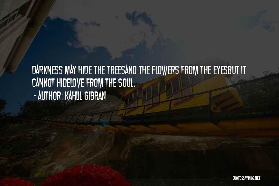 The Soul And Eyes Quotes By Kahlil Gibran