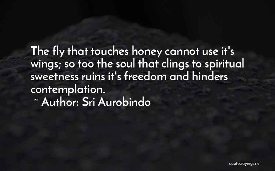 The Soul And Freedom Quotes By Sri Aurobindo