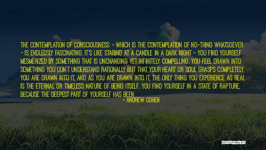 The Soul Is Eternal Quotes By Andrew Cohen The Soul Is Eternal Quotes By Andrew Cohen